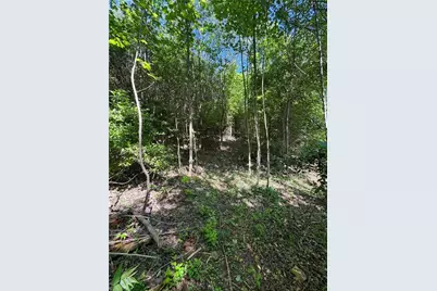 Lot 54 Billings Hill Church Road, Traphill, NC 28683 - Photo 27