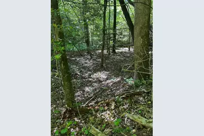 Lot 54 Billings Hill Church Road, Traphill, NC 28683 - Photo 13