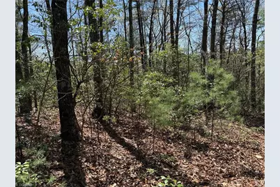 Lot 213 Casey Mountain Road, Purlear, NC 28665 - Photo 13