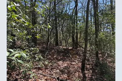 Lot 213 Casey Mountain Road, Purlear, NC 28665 - Photo 9