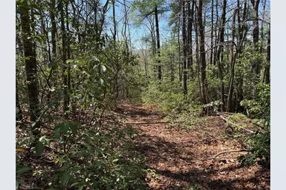 Lot 213 Casey Mountain Road, Purlear, NC 28665 - Photo 7