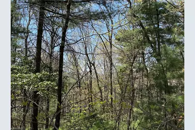 Lot 213 Casey Mountain Road, Purlear, NC 28665 - Photo 15