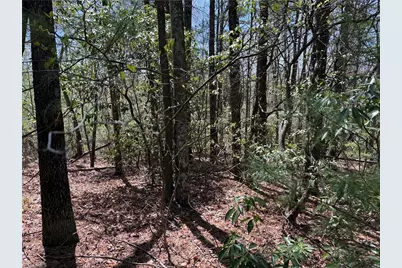 Lot 213 Casey Mountain Road, Purlear, NC 28665 - Photo 11