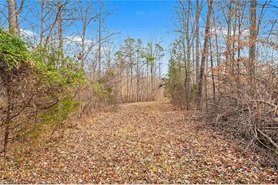 4101 Tansley Court, Greensboro, NC 27407 - Photo 17