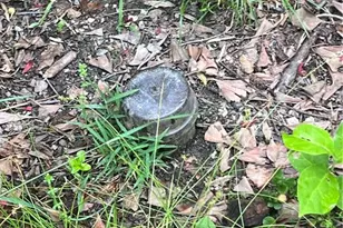 342 Moore Ave, Mount Airy, NC 27030 - Photo 13