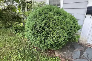 342 Moore Ave, Mount Airy, NC 27030 - Photo 15