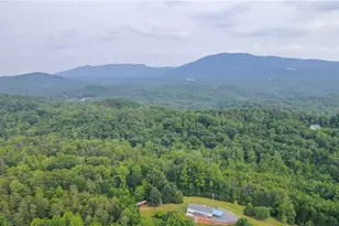 1747 Lynchburg Rd, Westfield, NC 27053 - Photo 11