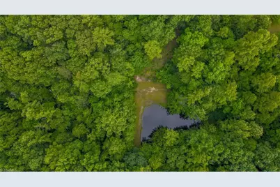 1747 Lynchburg Road, Westfield, NC 27053 - Photo 9