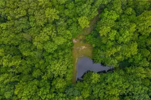 1747 Lynchburg Rd, Westfield, NC 27053 - Photo 9