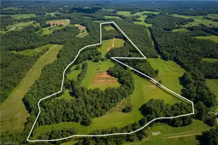 1135 Daisy Creek Farm Rd, Westfield, NC 27053 - Photo 41