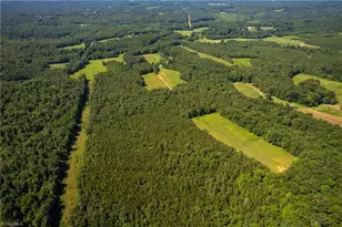 1135 Daisy Creek Farm Rd, Westfield, NC 27053 - Photo 35