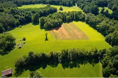 1135 Daisy Creek Farm Road, Westfield, NC 27053 - Photo 13