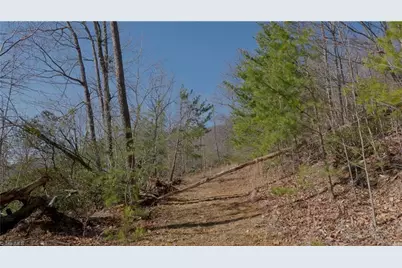 337 Goat House Road, Lambsburg, VA 24351 - Photo 21