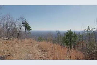 337 Goat House Road, Lambsburg, VA 24351 - Photo 17