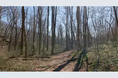 337 Goat House Road, Lambsburg, VA 24351 - Photo 31