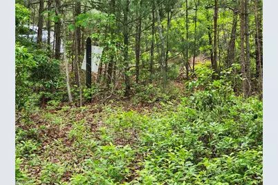 Tbd Derby Chase Court, McGrady, NC 28649 - Photo 11