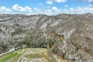 644 Teaster Valley Ln, Banner Elk, NC 28604 - Photo 5