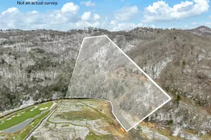 644 Teaster Valley Ln, Banner Elk, NC 28604 - Photo 7