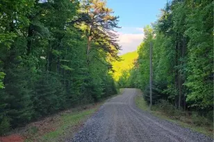 Lot 81 Sutters Ridge Rd, McGrady, NC 28649 - Photo 1