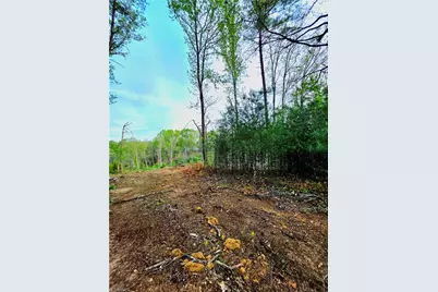 Tbd Ruritan Park Road, North Wilkesboro, NC 28659 - Photo 3