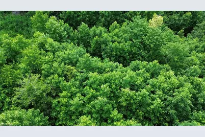 Tbd Bauguess Mill Road, Traphill, NC 28685 - Photo 13