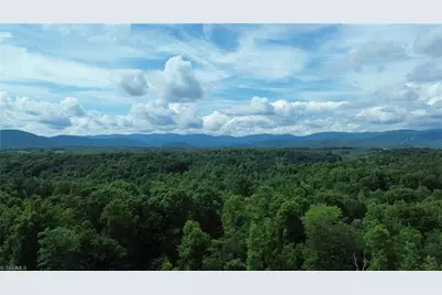 Tbd Bauguess Mill Road, Traphill, NC 28685 - Photo 15