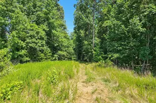 1201 Zz Nc Hwy 61 S, Whitsett, NC 27377 - Photo 13