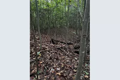 0 Balls Mill Road, North Wilkesboro, NC 28659 - Photo 9