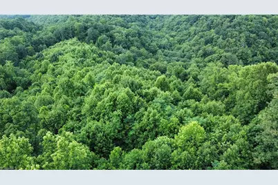 0 Balls Mill Road, North Wilkesboro, NC 28659 - Photo 3