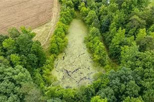 4616 Holden Rd, Greensboro, NC 27406 - Photo 7