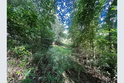 2034 Champion Mt Pleasant Road, Ferguson, NC 28624 - Photo 17