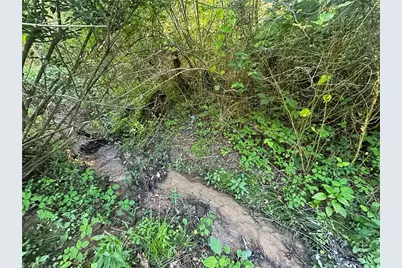 2034 Champion Mt Pleasant Road, Ferguson, NC 28624 - Photo 7