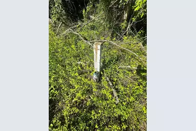 2034 Champion Mt Pleasant Road, Ferguson, NC 28624 - Photo 5