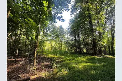 2034 Champion Mt Pleasant Road, Ferguson, NC 28624 - Photo 33