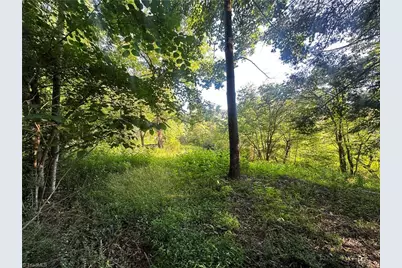 2034 Champion Mt Pleasant Road, Ferguson, NC 28624 - Photo 35