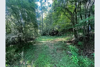 2034 Champion Mt Pleasant Road, Ferguson, NC 28624 - Photo 13