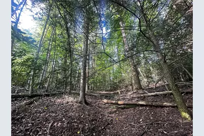 2034 Champion Mt Pleasant Road, Ferguson, NC 28624 - Photo 15