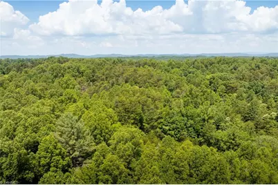 3.9Ac Pell Road, Westfield, NC 27053 - Photo 47