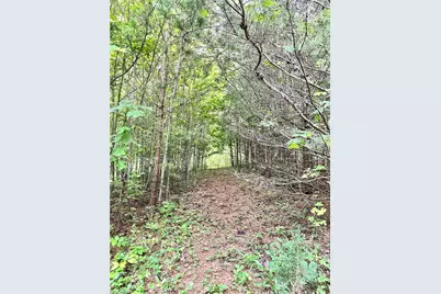 3.9Ac Pell Road, Westfield, NC 27053 - Photo 21