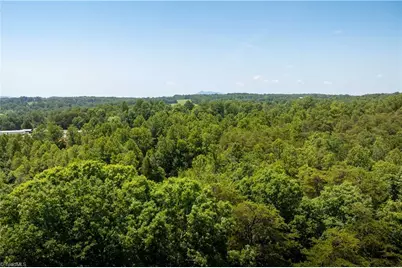 3.9Ac Pell Road, Westfield, NC 27053 - Photo 41