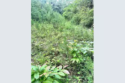 3.9Ac Pell Road, Westfield, NC 27053 - Photo 19