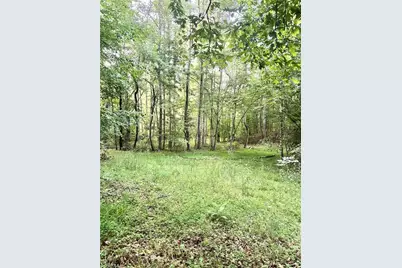 3.9Ac Pell Road, Westfield, NC 27053 - Photo 17