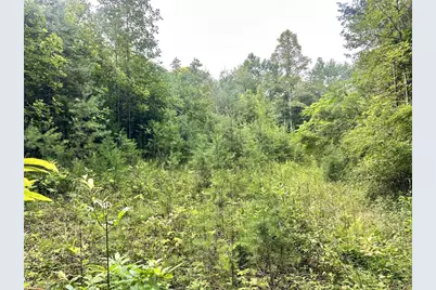 3.9Ac Pell Road, Westfield, NC 27053 - Photo 23