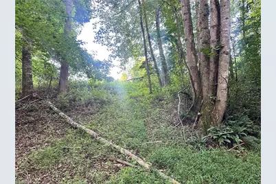 3.9Ac Pell Road, Westfield, NC 27053 - Photo 33