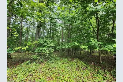 2874 Sierra Trace Road, Denton, NC 27239 - Photo 1