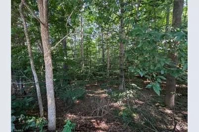 210 Birchwood Lane, Mocksville, NC 27028 - Photo 5