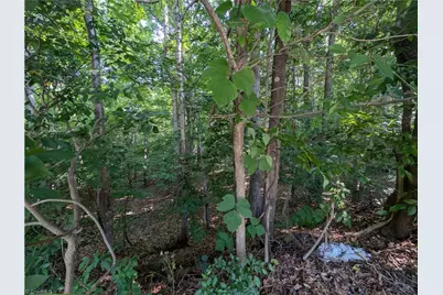 210 Birchwood Lane, Mocksville, NC 27028 - Photo 3