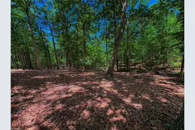 1560 Rocky Cove Lane, Denton, NC 27239 - Photo 5