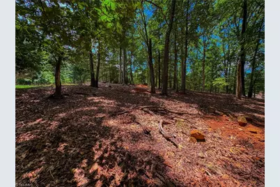 1560 Rocky Cove Lane, Denton, NC 27239 - Photo 7