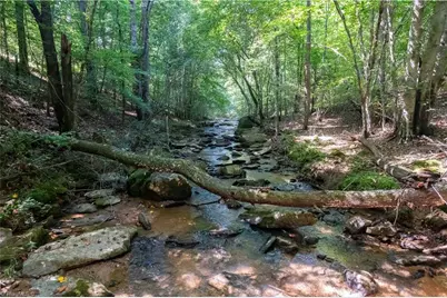 12604 Nc Highway 268, Elkin, NC 28621 - Photo 5